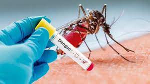 Toàn tỉnh đã ghi nhận 22 ca mắc sốt xuất huyết Dengue